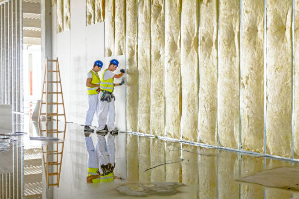 Professional Insulation Contractor in Mosinee, WI